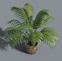 potted palm.jpg