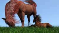 Mother and Foal_Final2.jpg