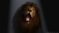 AM's Felidae Lion.jpg
