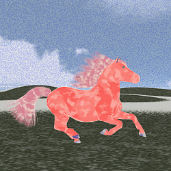 A Pink Pony for Rae to NOT Think About