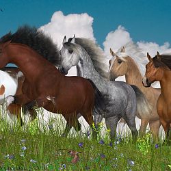 Horses Of The Heartland By Lyne