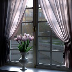 Tulips On The Window