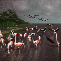 Flamingo Skies