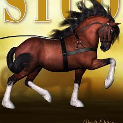 Magazine Cover - Stallion Directory - Draft Edition