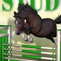 Magazine Cover - Stallion Directory - Warmblood Edition