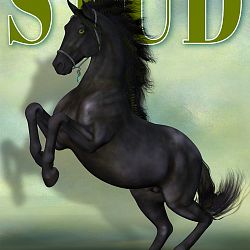 Magazine Cover - Stallion Directory - Dark Fae Edition