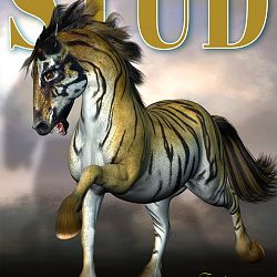 Magazine Cover - Stallion Directory - Fantasy Edition