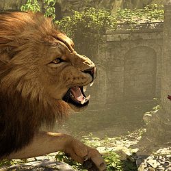 Lion Roar!