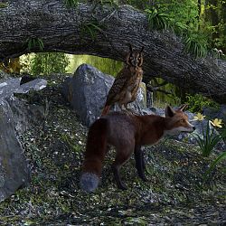 Owl And The Fox By My 3D Spin