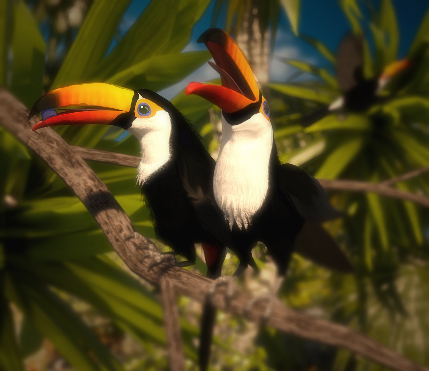 3rd Place - Sunny Toucans by Trouble