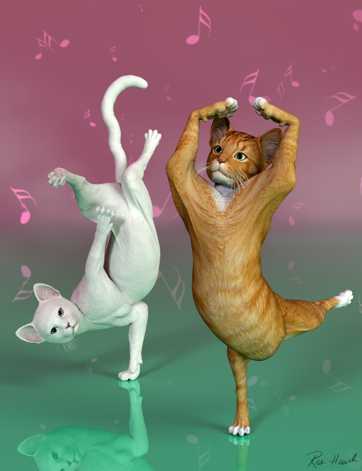 Cat Just Dance
