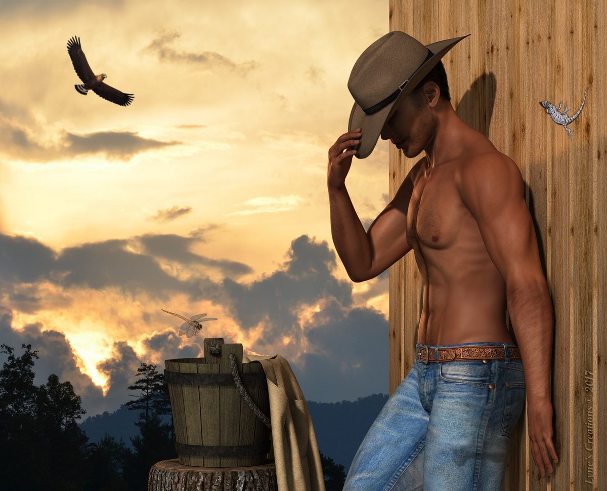 Cowboy At Dusk By Lyne