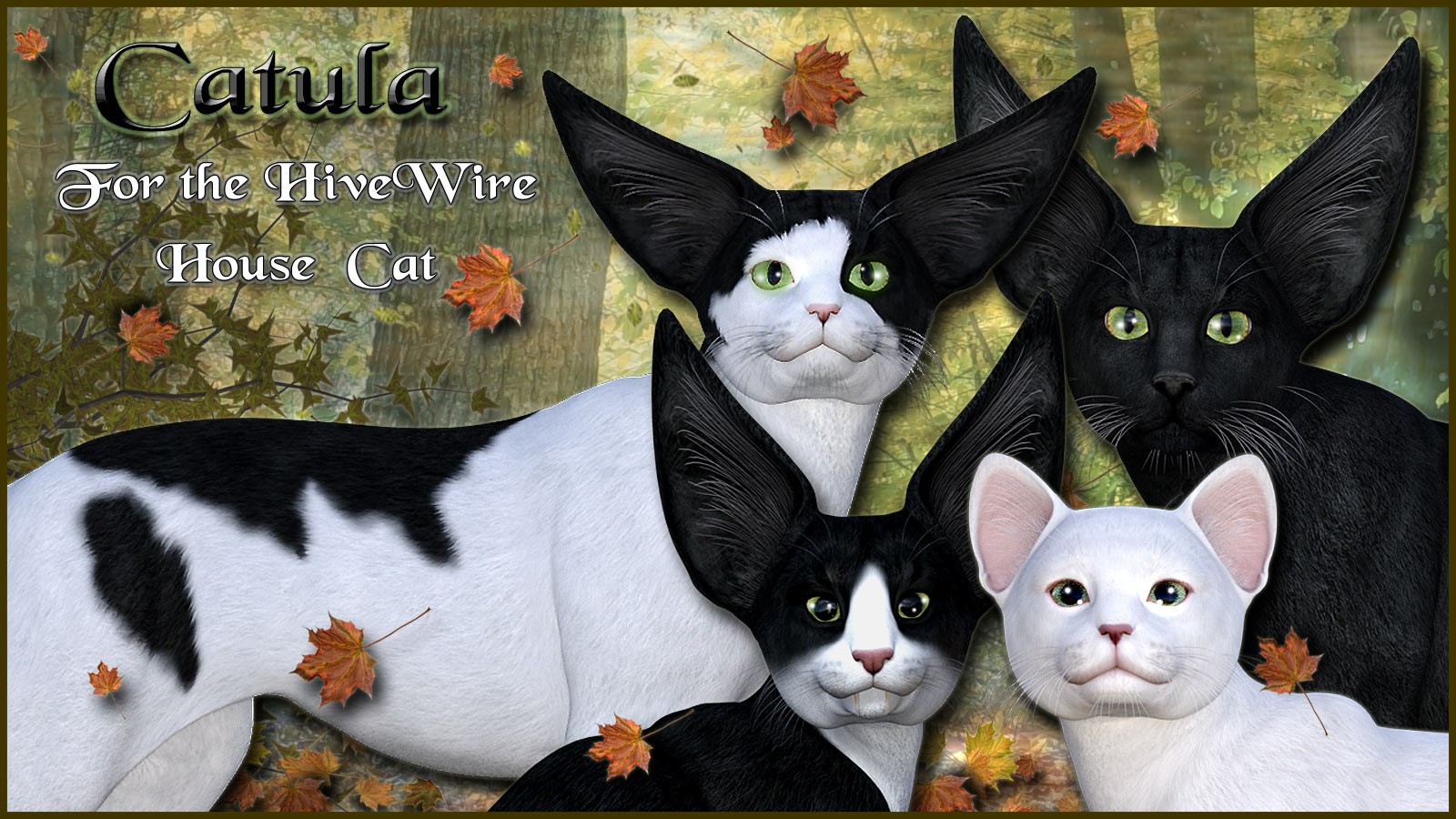11713-catula-for-the-hivewire-house-cat-main.jpg