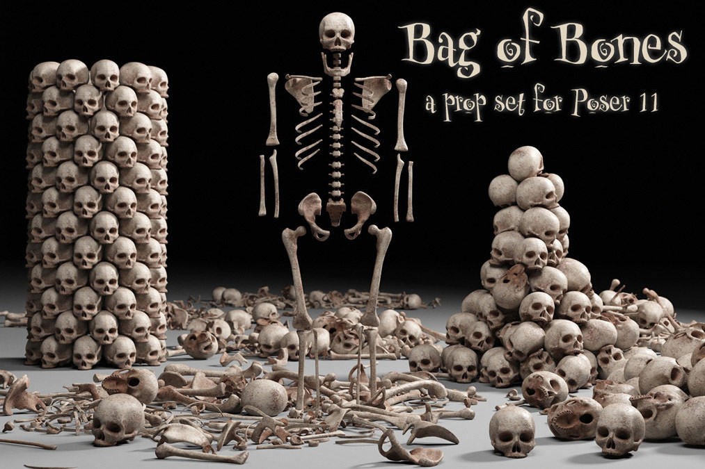 12051-bag-of-bones-main.jpg