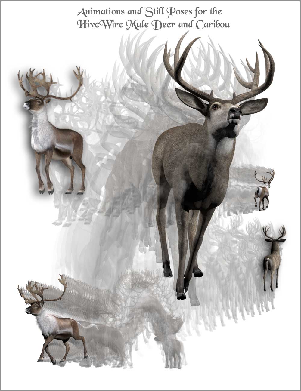 12112-animations-and-poses-for-the-hw-mule-deer-and-caribou-main.jpg