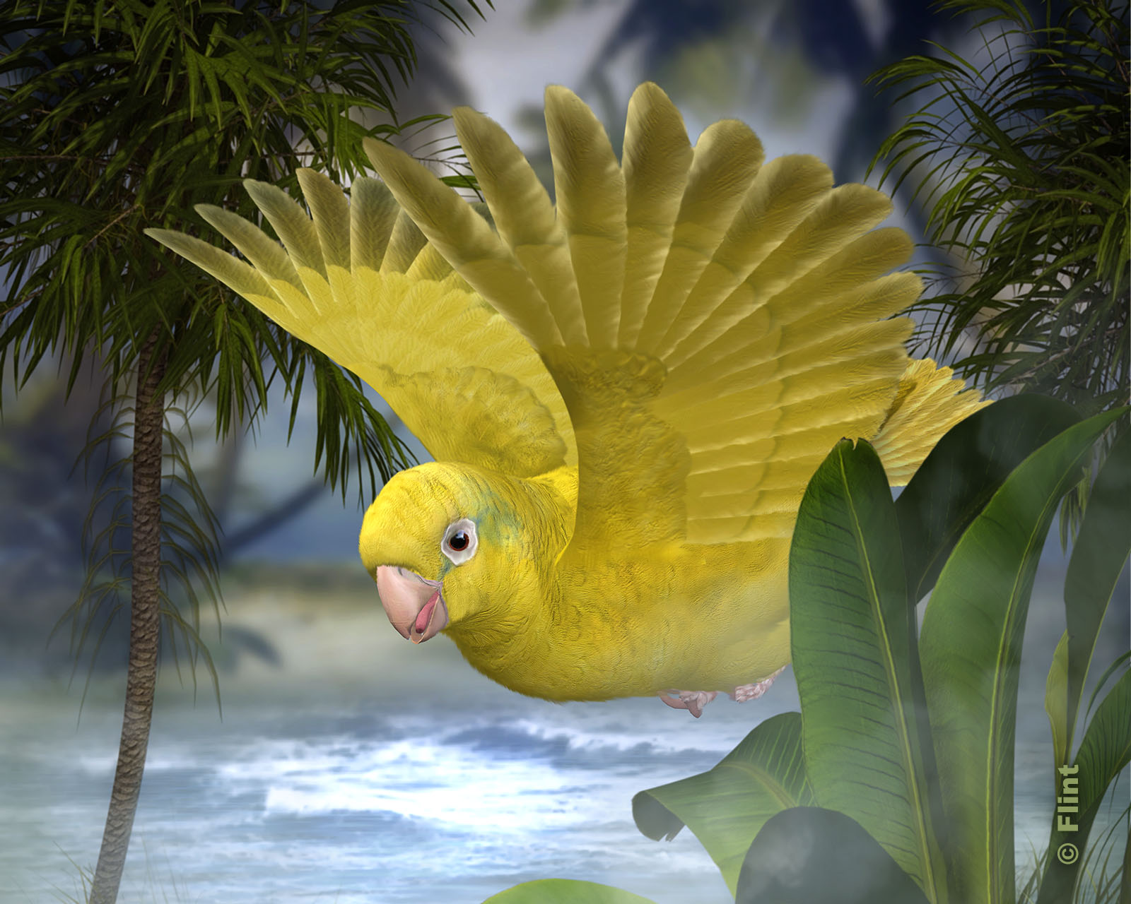 A Touch of Sunshine.jpg