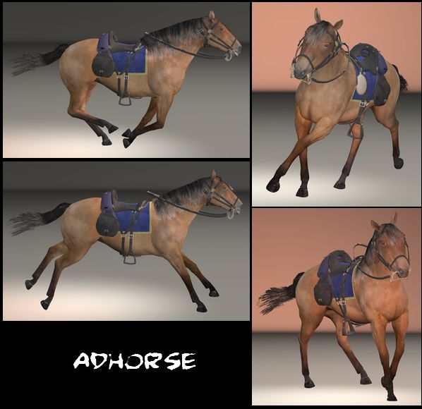 adHORSE POSES.jpg