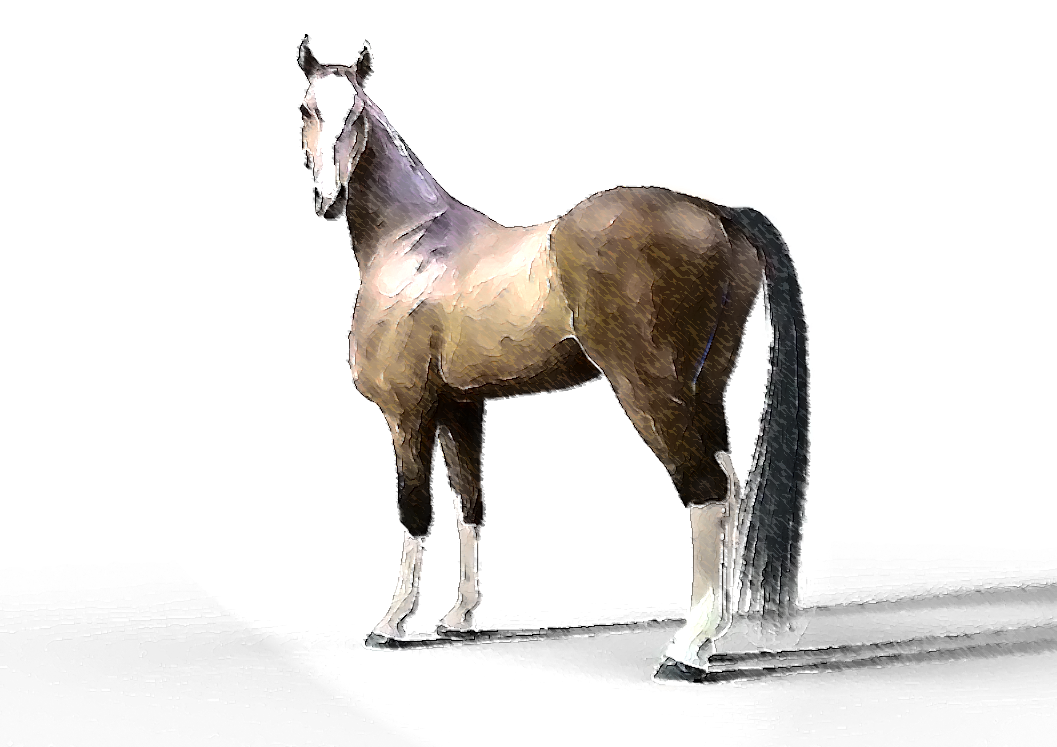 Akhal Teke 00vvvv5.png