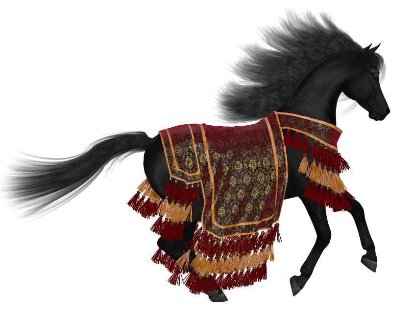 Arabian blanket 002.png