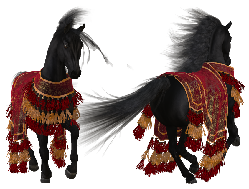 Arabian blanket 007.png