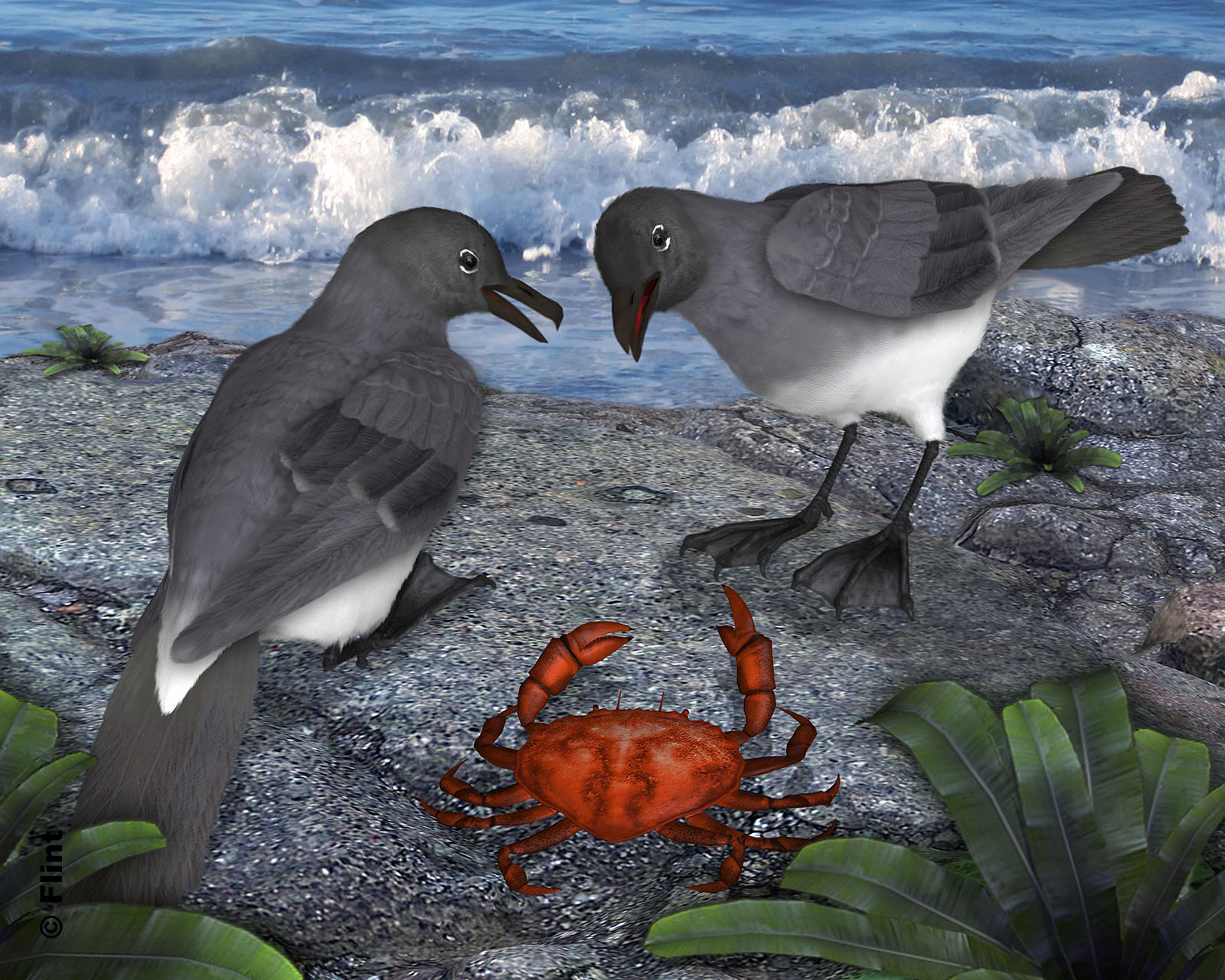 Armed and Dangerous.jpg