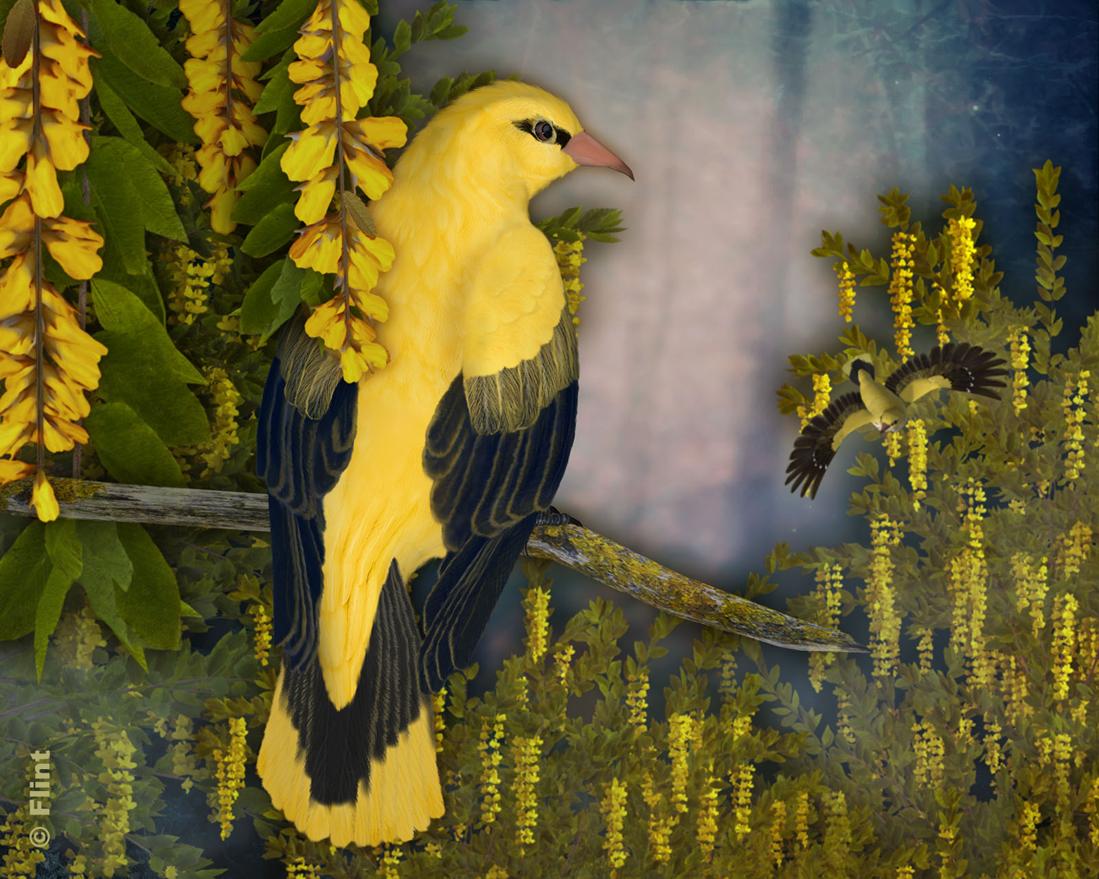As Good As Gold.jpg