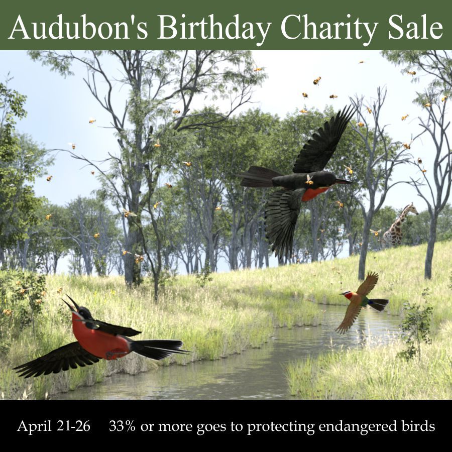 Audubon2_900x900.jpg