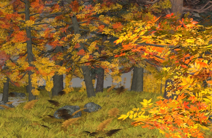 autumn forest.jpg