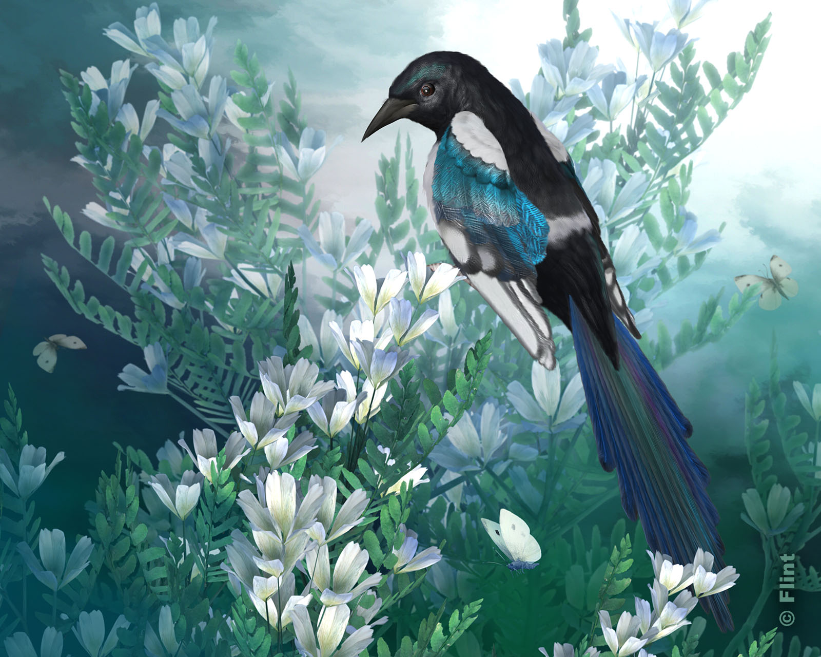 Beauty In the Mist.jpg