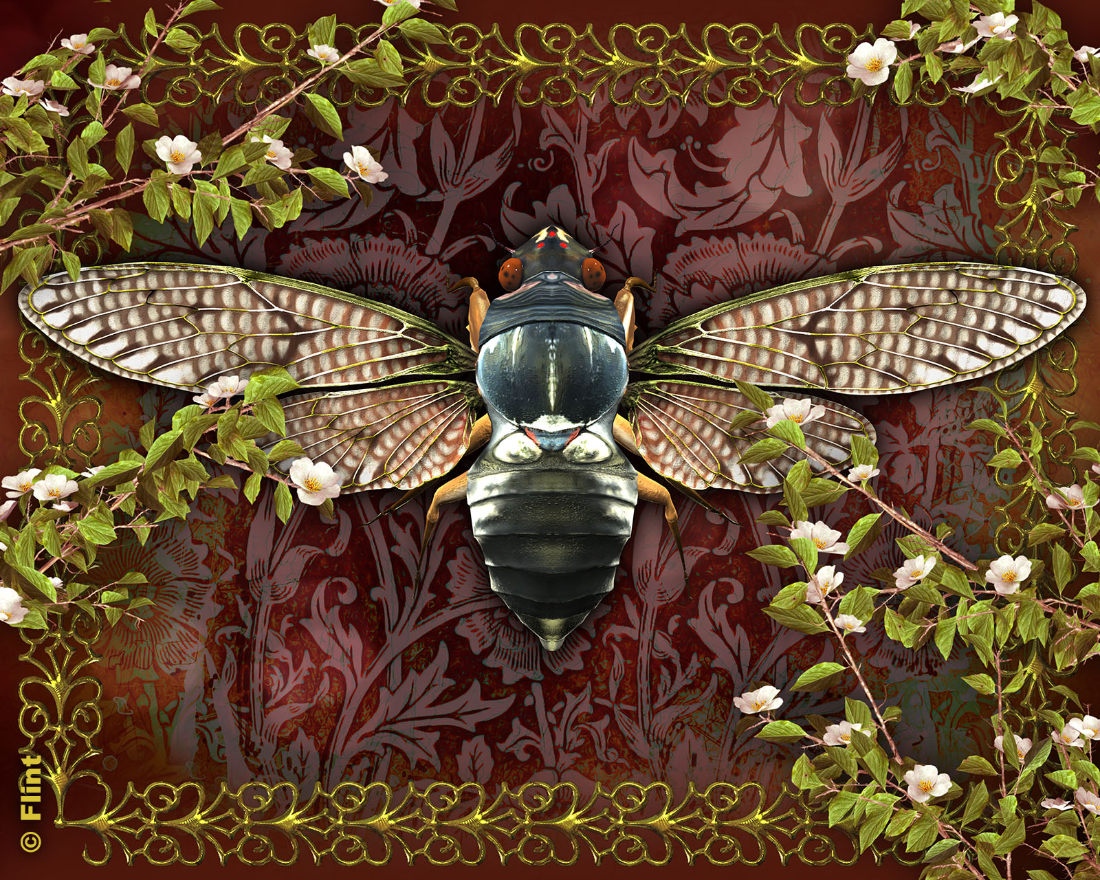 Beauty of the Large Brown Cicada.jpg