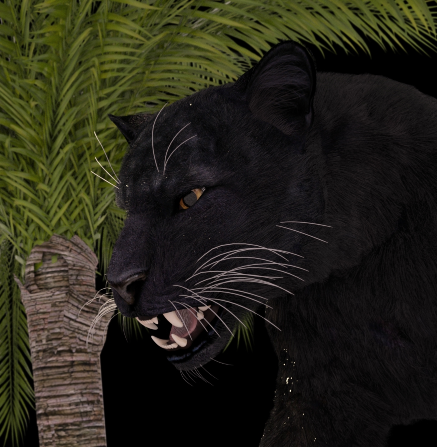black panther 001.jpg