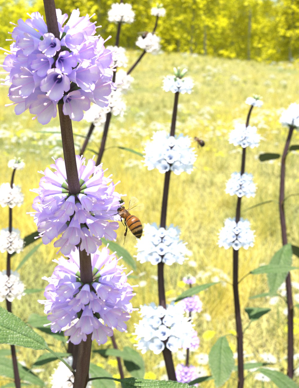 black sage colors.jpg