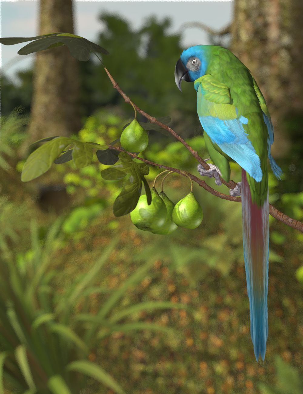 Blue-headed Macaw.jpg