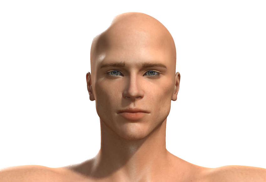 brad morph after suggestions.png