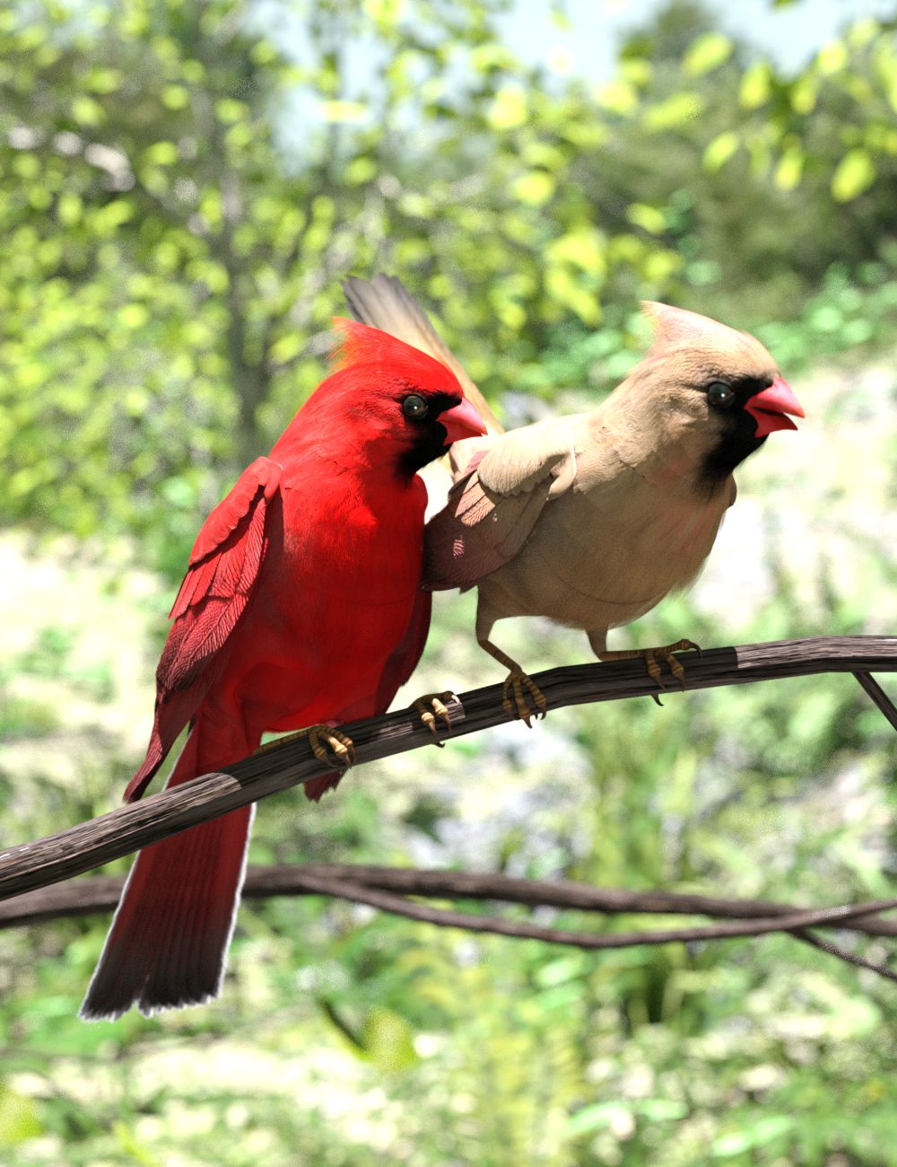 cardinals.jpg