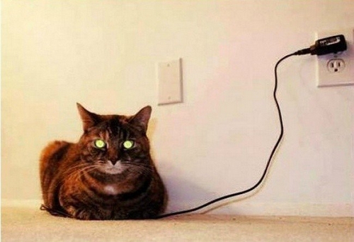 cat---charging.jpg
