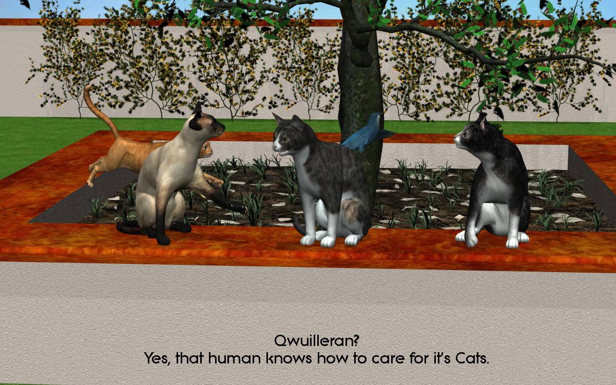 CatsLoveStories04.jpg