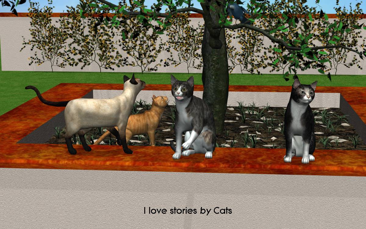 CatsLoveStories05.jpg