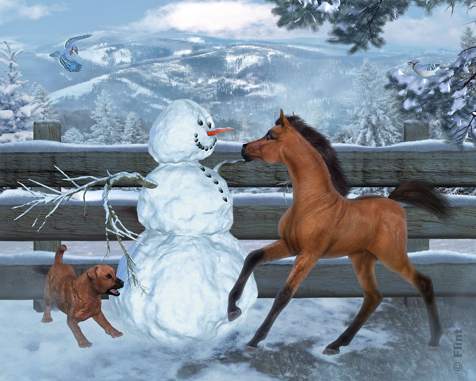 Christmas Surprise.jpg