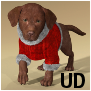 ChristmasSuit-HWDog UD.duf.png