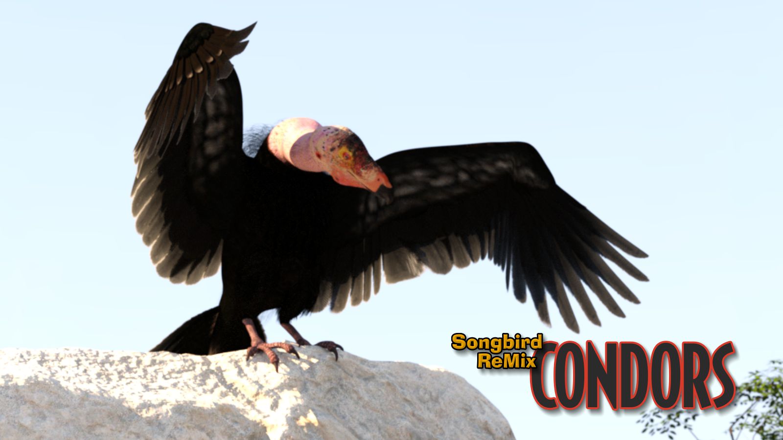 Condors_1600x900.jpg