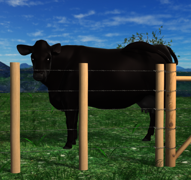 cow n fence .png