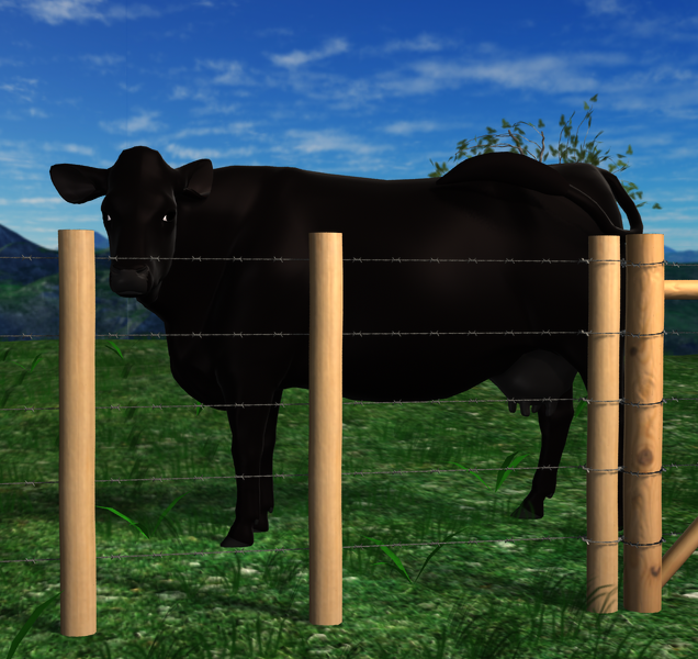 Cow n fence.png