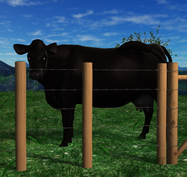 cow n fence .png
