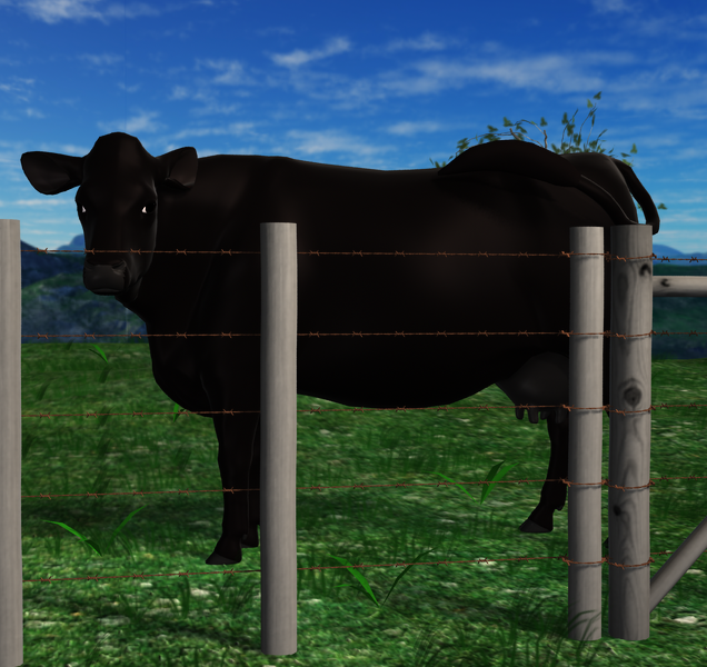 cow n fence weathered.png