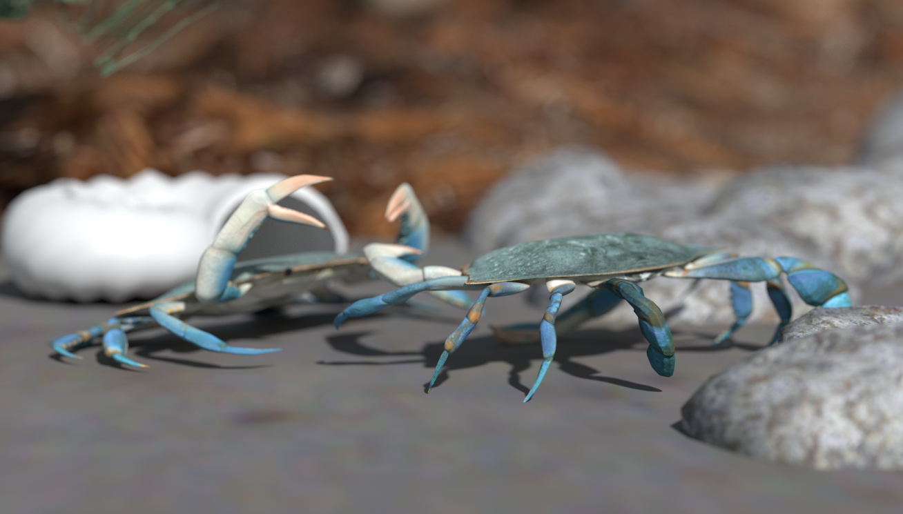crabs2.png