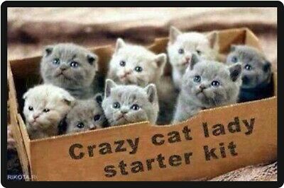 crazy-cat-lady-starter-kit.jpg