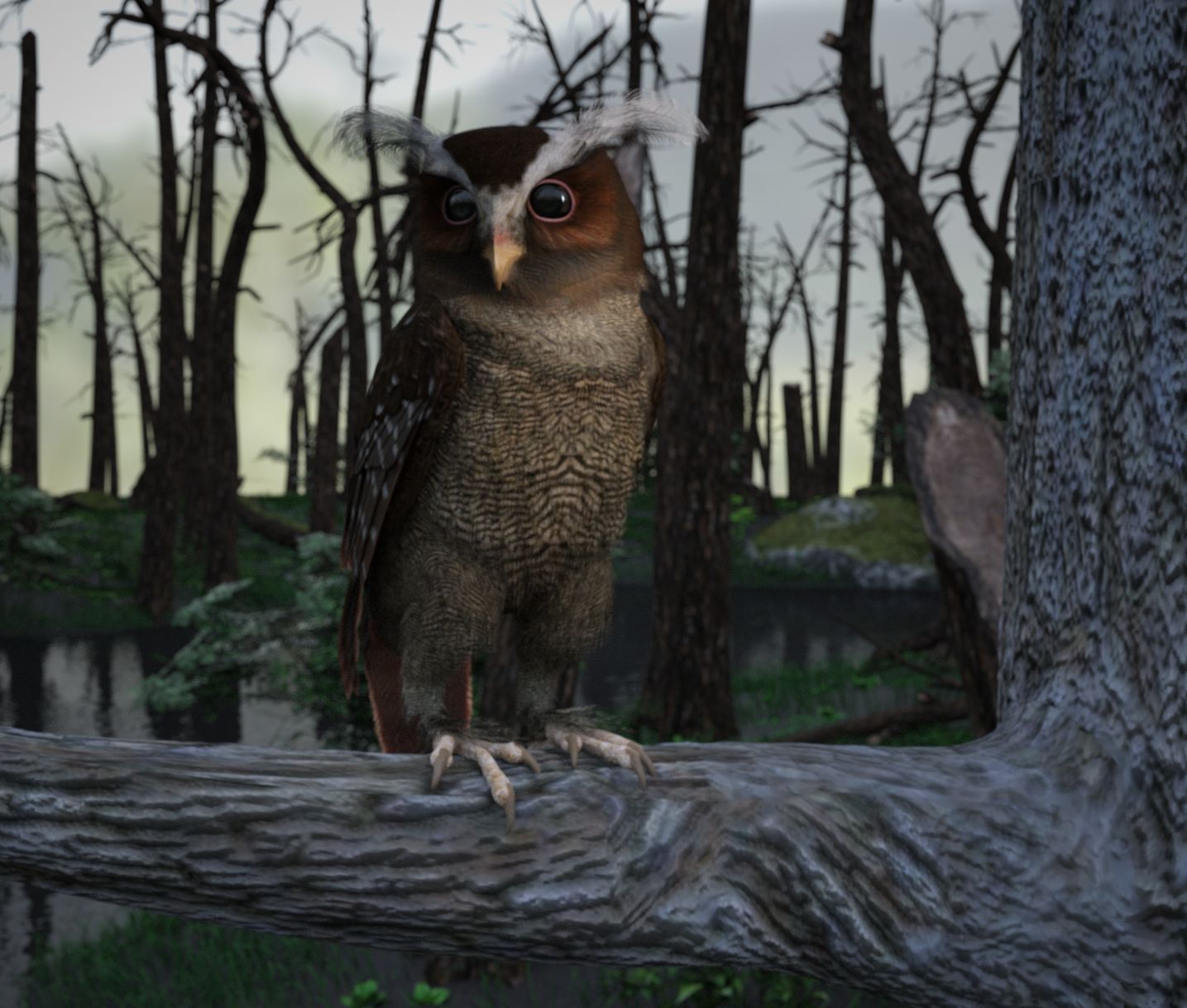 Crested Owl Iray.jpg