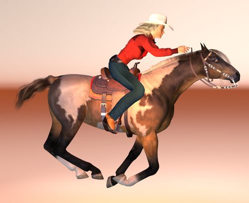 DAWN-BARREL-RACING-TEST-adjustment1.jpg