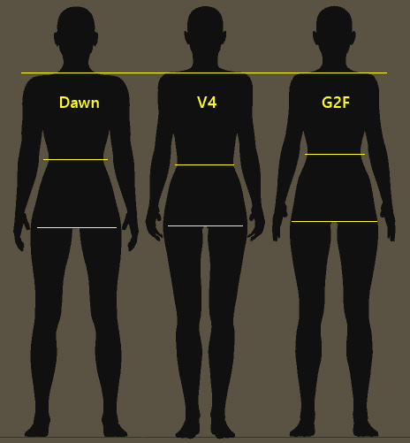 DawnProportions.png